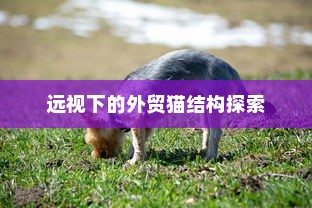 电车爆胎原因深度解析  第1张