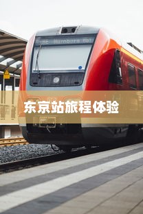 真皮电车坐垫套，通用性深度解析与探讨