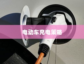 电动车充电策略探究，隔天充电可行吗？