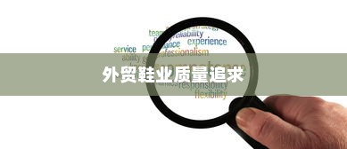 深度解析，外贸鞋业的质量追求、挑战与高标准要求探讨