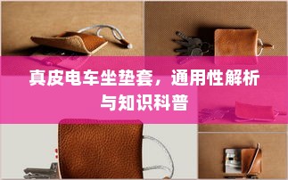 真皮电车坐垫套，通用性解析与知识科普