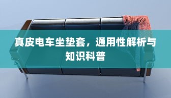 真皮电车坐垫套，通用性解析与知识科普
