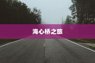 关于电动车在海心桥的通行探索之旅