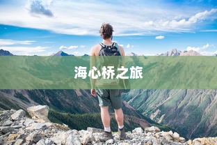 关于电动车在海心桥的通行探索之旅