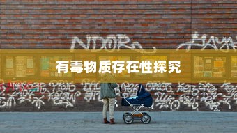真皮电车坐垫套，通用性探讨与解析