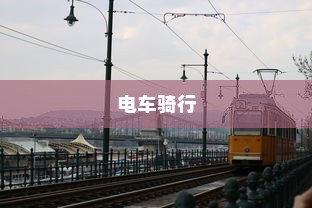 真皮电车坐垫套，通用性探讨与解析