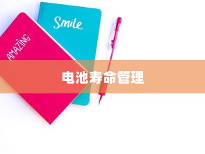 电车充电策略与电池寿命管理，隔天充电可行吗？