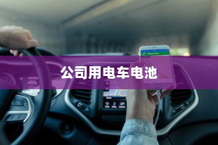 货拉拉电车价格揭秘，多重因素决定最终售价