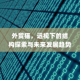 外贸猫，远视下的结构探索与未来发展趋势展望