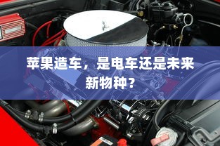 二十万左右预算，纯电车推荐购买指南