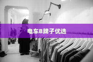 电车B牌子优选解析，深度探讨各大品牌的优势特点