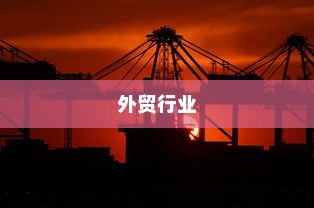 外贸过来人分享经验，做外贸是否值得一试？探讨外贸行业的机遇与挑战。