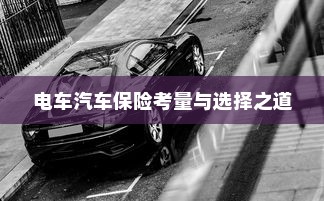 电动汽车保险选择解析，全险是否可行？全面解析电车汽车保险考量与选择之道。