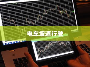 电车价格固定不讲价的原因分析