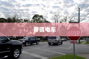 纯电车起火车型全面解析