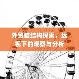 外贸猫结构探索，远视下的观察与分析