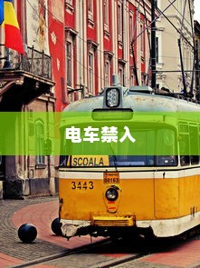 大学交通规定揭秘，电车禁入之谜