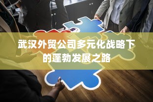武汉外贸公司多元化战略下的蓬勃发展之路