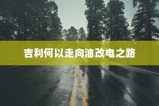 吉利何以走向油改电之路