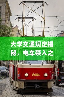 大学交通规定揭秘，电车禁入之谜