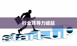 武汉外贸公司多元化发展与行业领导力崛起