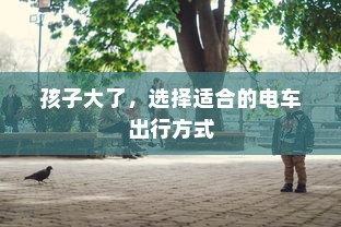 孩子大了，选择适合的电车出行方式