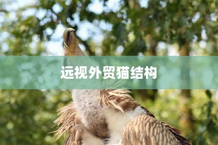 远视外贸猫结构的重要性及应用前景探究