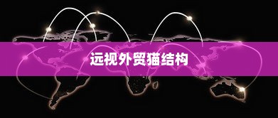 远视外贸猫结构的重要性及应用前景探究
