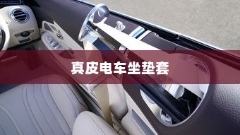真皮电车坐垫套，通用性及应用解析