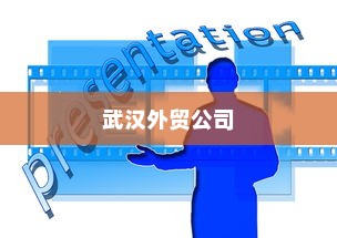 武汉外贸公司多元化战略下的蓬勃发展之路