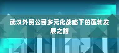武汉外贸公司多元化战略下的蓬勃发展之路