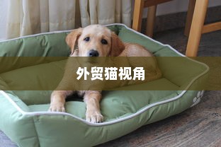 电车爆胎原因解析
