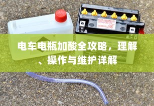高考路上的坚韧之旅，刻苦拼搏铸就辉煌