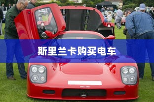 斯里兰卡购买电车划算性全面解析
