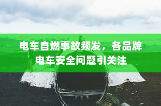 电车电瓶加什么酸，深度解析与操作指南