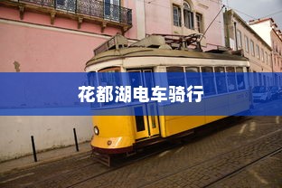 花都湖电车骑行指南，进入规则与注意事项