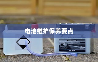 电车电瓶加酸全攻略，电池需求解析与维护保养要点