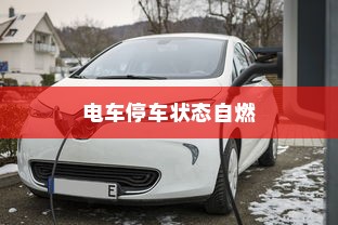 电动汽车安全性问题解析，电车停车状态下是否会自燃？