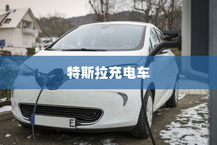 特斯拉充电车价位深度解析