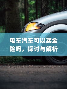 电车汽车可以买全险吗，探讨与解析