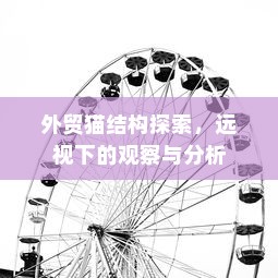 纯电车起火事件深度解析，涉及车型与原因的探讨