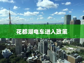 花都湖电车进入政策解析与探讨