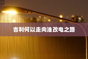 电车自燃现象探究，品牌分析与启示