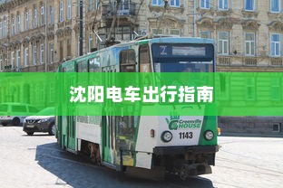 电车摇号购车流程详解指南
