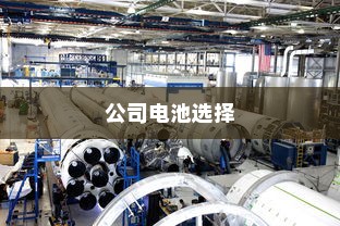公司电车电池选型策略