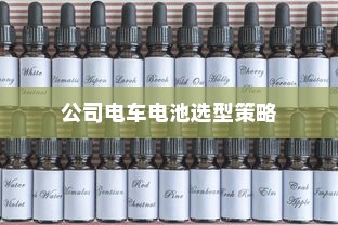 公司电车电池选型策略