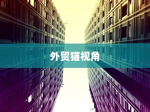 外贸猫视角下的长远观察，结构、策略与未来展望