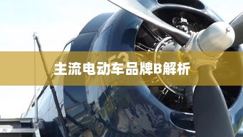 主流电动车品牌B解析，为何电车B牌子是明智之选？