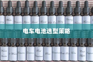 公司电车电池选型策略