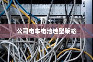 公司电车电池选型策略